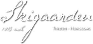 Skigaarden Hemsedal